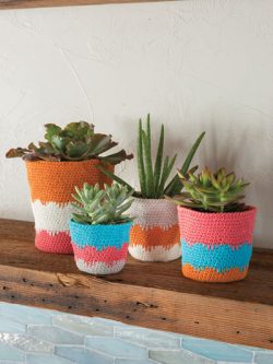 Sweet Succulent Pots Crochet Pattern